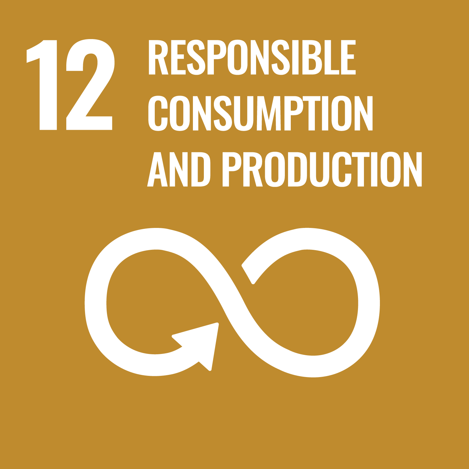 SDG 12 – Responsible Consumption